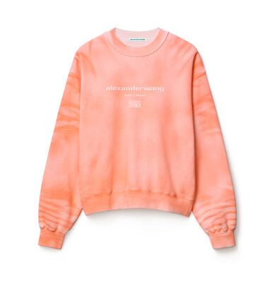 Alexander wang 
