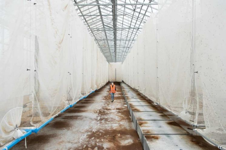 (사진 Simone Tramonte / Climate Visuals Countdown) / 뉴스펭귄