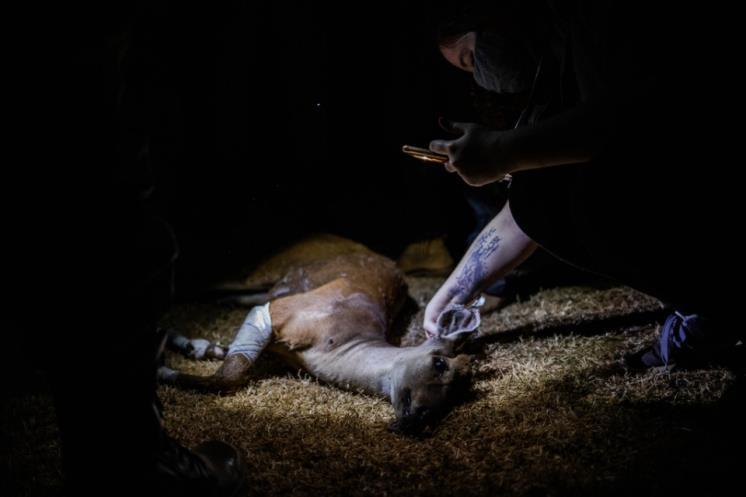 (사진 Maria Magdalena Arrellaga / Climate Visuals Countdown) / 뉴스펭귄