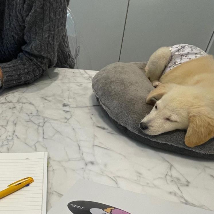 출처 : 테드 인스타그램 (@dear_tedtheteddy) 캡처