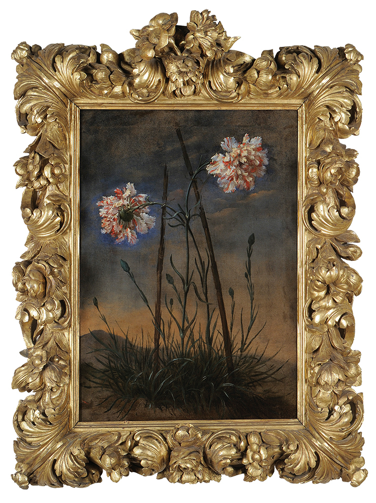 바르톨로메오 빔비(Bartolomeo Bimbi)의 <비토리오 크로스텐의 프레임 속 두 송이의 카네이션>.